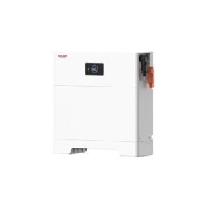 BMS for Sunwoda Lithium Battery Suiss (Control Unit)