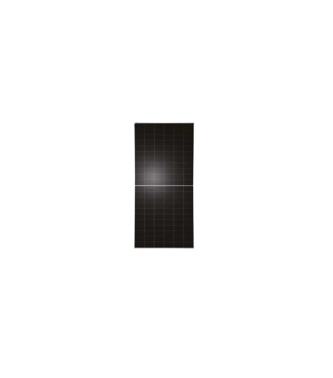 Solar Panel Tongwei 620W Bifacial Dual Glass | Twmnh-66hd620